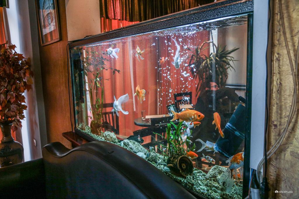 Hotel Regency Korcza Zewnętrze zdjęcie